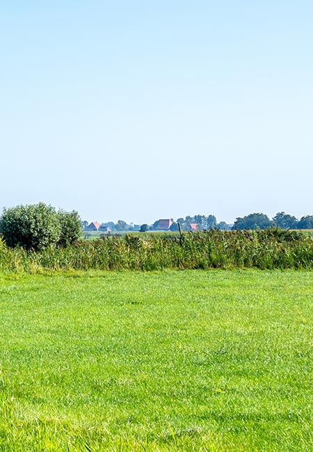 landschap
